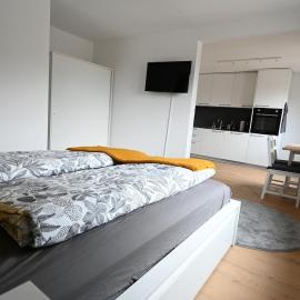 Sunny Renovated Alpine Apartment by Interlaken, hotel v destinácii Frutigen