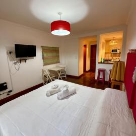 Spacious Studio in Alsina