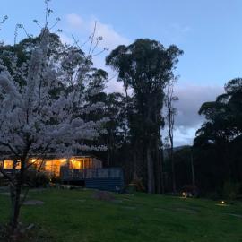 Retreat in a beautiful forest!, hotel in McMahons Creek