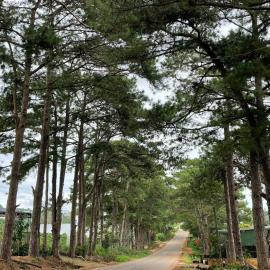 Private touring from Ho Chi Minh to Central Highland by Car for exploring local culture