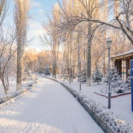 Wellmore Resort, hotel u gradu Yusufkhona