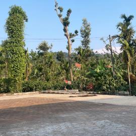 Coffee Mist Retreat, hotel a Hanbal