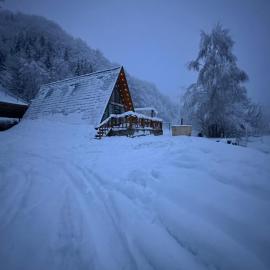 Chalet Carolina, hotell i Padeş