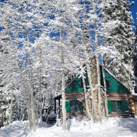 Brighton Log Cabin