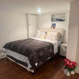 Cozy Studio, hotel en Elmont