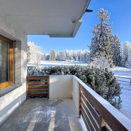 From green to slopes - Alpine ski and golf condo, hotel en Crans-Montana