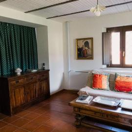 Olive grove house