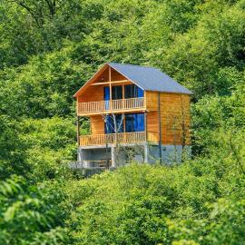 Spacious Wooden House With Black Sea View - Batumi, hotel a Kapreshumi