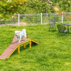 Yangyang Monti Pet Spa Pension, ξενοδοχείο σε Yangyang
