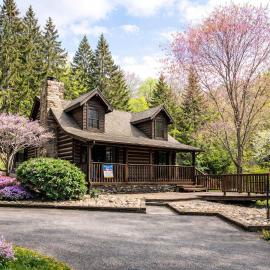 Smoky Mountain Retreat with Game Room Firepit