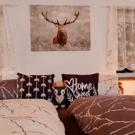 Ferienwohnung zum Sebnitzer Hirsch, hotel in Sebnitz
