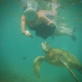 Turtle Paradise Beach