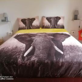 Victoria Falls African Guest House – hotel w mieście Victoria Falls