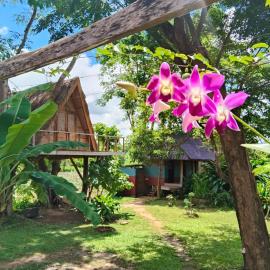Fandee Island - Treehouses, Tiny Houses & Zipline - Tad Lo, Boloven Loop Pakse, Hotel in Tad Lo