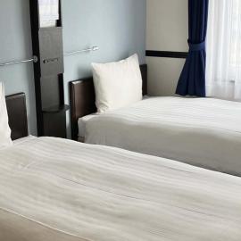 Toyoko Inn Shin takaoka eki Shinkansen Minami guchi、高岡市のホテル