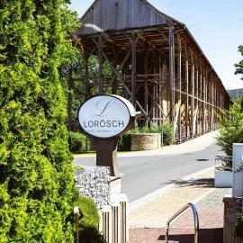 Hotel Lorösch, Hotel in Bad Orb