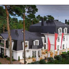 Willa Alexander Resort & SPA - caloroczny kryty BASEN