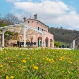 Tra gli ulivi e le stelle - Country House