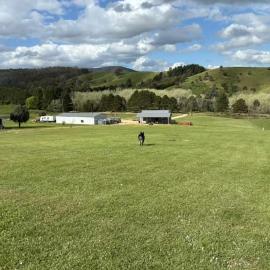 BrinCole - Pet-Friendly, Huge Deck with Epic Views & Fire Pit, hotel in Bonnie Doon