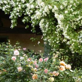 Rosedeliziose B&B Baldissero Canavese
