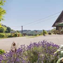 Weingut & Buschenschank Pölzl