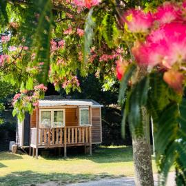 Camping Amélia, hotel in Amélie-les-Bains-Palalda