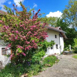 84qm Ferienwohnung mit Garten und Terrasse in ruhiger Lage, hotel u gradu 'Rotthalmünster'