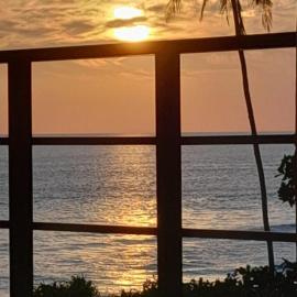 The Ocean Villa
