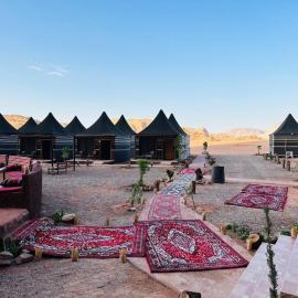 Dessert flowers wadi rum