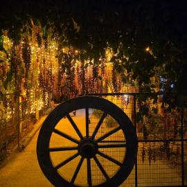 ARIVU Homestay, hotel u gradu 'Chikmagalūr'