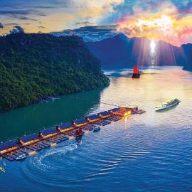 Hai Phong Floating House
