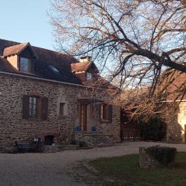 Le tilleul