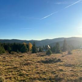 Viesnīca Cabana Lake View pilsētā Bălceşti