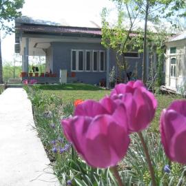 Jalla Residence