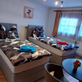 Apartment Voithofer, hotel in Wald im Pinzgau