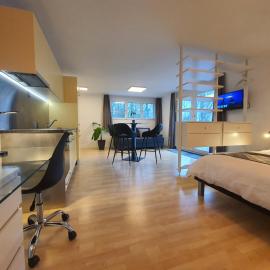 Modern apartment for vacation and business travelers, hotel a Arni Alp