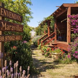 Posada Las Maravillas, hotel en Punta del Diablo
