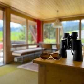 Haus DOMO, ξενοδοχείο σε Flumserberg