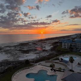 The Coastal Turtle
