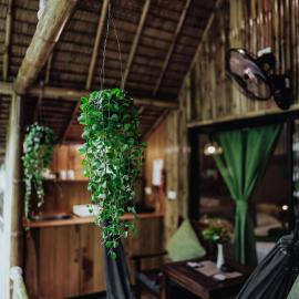 Bamboo Bay Eco Resort，斯里凡奴的飯店