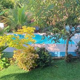 Villa Jungle Paradise