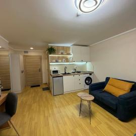 Orbi Deluxe Bakuriani Room 222