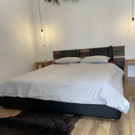 Dunavska Room