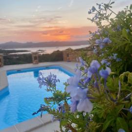 Orsa sul mare a Baja Sardinia