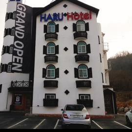 Hotelharu, hotel Umszongban