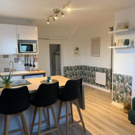 Appartement T2 cosy aux portes de Nantes, hotel in Saint-Sébastien-sur-Loire