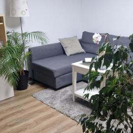 Charmantes und neu renoviertes Apartment in der Nähe des Flughafens、Mannswörthのホテル