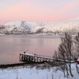 House by the Fjord - Sauna, Sea View & Northern Lights, hotel en Tromsø