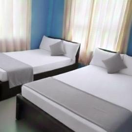 Daya Guest House, Hotel in Pattipola