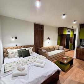 Apartman Mist - Bela reka Brzeće، فندق في بريزيسيه